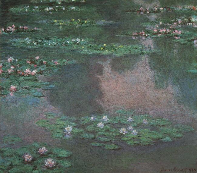 Claude Monet Waterlilies